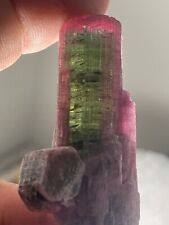 Rare Large Multi Color Tourmaline Crystal Mineral Specimen picture