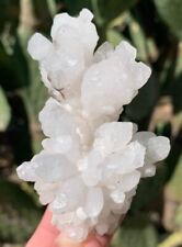 Stalactite Calcite Stalagmite Aragonite Crystal Cluster Mineral Specimen MEXICO picture