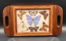 Vintage 1950’s Art Deco Pressed Butterfly Brazil Inlaid Souvenir Tray 13” Decor picture
