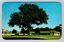 Niles MI-Michigan, Dixie Villa Motel, Advertising, Antique Vintage Postcard picture