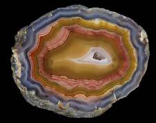 Amazing Banded Laguna Agate From Mexico Collectors Grade Parallax picture