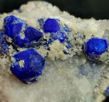 Lazurite(Lapis Lazuli) Terminated Crystals On Matrix Combine With Pyrite. picture