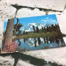 Vintage Postcard MT. Shuksan Heather Meadow MT. Baker National Park Scenic Land picture