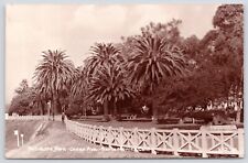 Postcard RPPC Palisades Park Ocean Ave. Santa Monica California c1950s picture