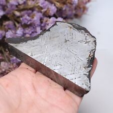 422g  Muonionalusta meteorite part slice C6160 picture