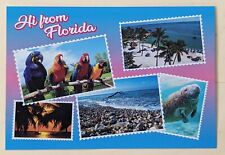 Postcard FL. Greetings from Florida.  picture