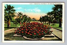 Los Angeles CA-California, Palm Walk, Antique, Vintage c1930 Souvenir Postcard picture