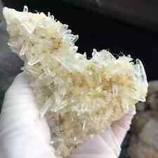 110g Extreme Transparency White Chrysanthemum Quartz Crystal Mineral Specimen picture