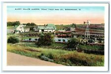 c1920 Sleepy Hollow Gardens Henry Field Seed Shenandoah Iowa IA Vintage Postcard picture
