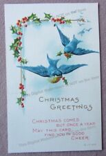 1918 Christmas Greetings Postcard BLUEBIRDS Holly Bringing Cheer JP Embossed picture