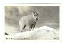 RPPC Alaskan Mountain Goat Vintage Postcard picture