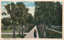 Postcard FL Palm Avenue Florida 1926 White Border Antique Vintage Old PC e8748 picture