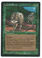 ►Magic-Style◄ MTG - Timber Wolves - Italian Revised FBB - NM/NM - picture