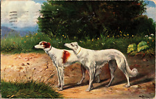 Antique Dog 1901 Postcard TWO DOGS - German American Novelty Art Series 670 picture
