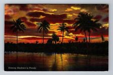 FL-Florida, Evening Shadows in Florida, Vintage Souvenir Postcard picture