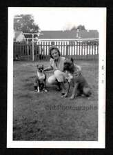 2 HANDSOME DOGS BOXERS POSING w/WOMAN IN YARD OLD/VINTAGE PHOTO SNAPSHOT- L590 picture