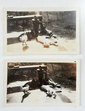Lot of 2 Vintage 1920's Cats & BFF Chicken Relaxing At Water Pump picture