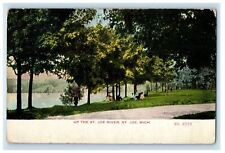 1910 Up The St. Joe River St. Joe Michigan MI Posted Antique Postcard picture