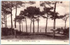 Postcard - View of the Parc des Abatilles - Arcachon, France picture