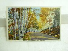 Vintage Postcard White Mts Birch Road Unused Unposted picture