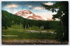 Sheep Grazing In Picturesque Idaho, Mountains, Antique Vintage 1945 Post Card picture