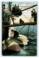 1909 Right Whaling Attaching Chain Bonnett New Bedford Massachusetts MA Postcard picture