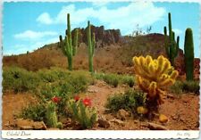 Postcard - Colorful Desert picture