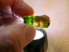 Tourmaline watermelon crystal terminated 30x13mm 49 carats picture