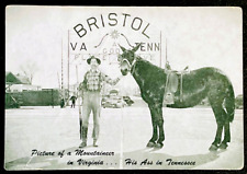 Bristol Tennessee Virginia UNUSED Funny Photo Postcard RPPC State-Line Mule picture