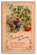 Thanksgiving Greetings Turkey Grape Vine at Harvest UNP Unused DB postcard V17 picture