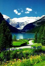 Lake Louise Banff National Park Canada Postcard picture