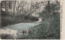Falls Neff Grounds Yellow Springs Ohio OH 1908 Postcard #224 picture