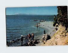 Postcard Fishing Along the Shores of Yellowstone Lake Wyoming USA picture