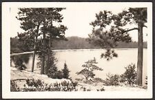 Gulliver Michigan RPPC - Scene on Clear Lake from Old Deerfield Resort picture