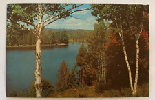 Vintage Postcard Greetings From Portage Lake, Maine picture