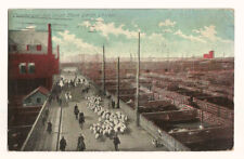 Chicago Illinois IL Postcard Union Stock Yards Commercial Ave c1910 picture