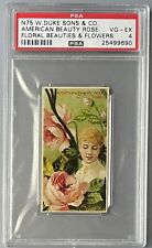 1892 N75 Duke Floral Beauties AMERICAN BEAUTY ROSE PSA 4 VG - EX picture