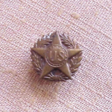 WW 1 Bronze Star Victory Medal Lapel Button Pin Gov Issued Honorable Discharge picture