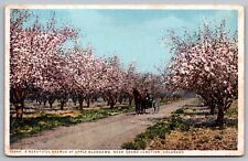 Avenue Apple Blossoms Grand Junction Colorado Street View Horse Buggy Postcard picture