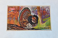 Vintage Shoot Dupont Powders Postcard Ruffed Grouse Unused Divided Back picture