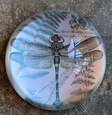Dragonfly Art Under Glass Paperweight Collector Gift 3