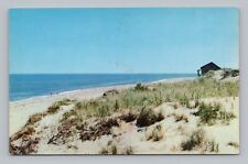 Postcard Cape Cod Beach Massachusetts picture