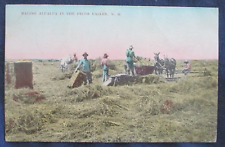 1908 New Mexico Pecos Valley Farm Work Baling Alfalfa Postcard Artesia Cancel picture