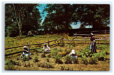 Postcard Minuteman National Park, Concord, Mass MA C14 picture