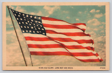 Depiction of 1889 40 Star US Flag, Old Glory Long May She Wave c1930 Postcard picture