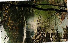 Vintage Postcard- Cumberland Falls. Corbin, KY. 1960s picture