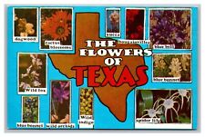 The Flowers of Texas Multi View Blue Bonnet Dogwood Yucca Chrome Postcard picture