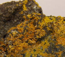 RARE PASCOITE CRYSTALS - 6 cm - D-DAY MINES, UTAH 28342 picture