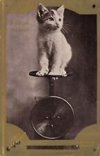 I Am On the Way Pun Cute Cat Kitten on Scale 1910 Robbins Postcard picture