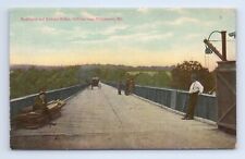 Washington and Berkeley Bridge Company Williamsport MD Potomac Postcard VTG picture